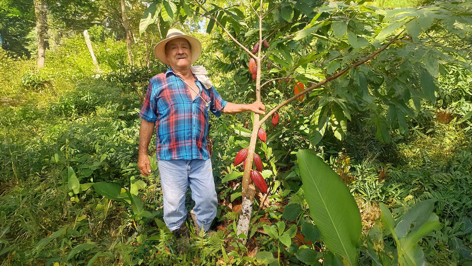 bannerIMG_20231013_092722 Gustavo Pico M.A.