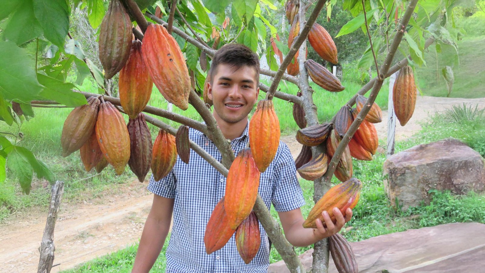 bannerIMG_7066 Jerson Javier Ardila M.A.