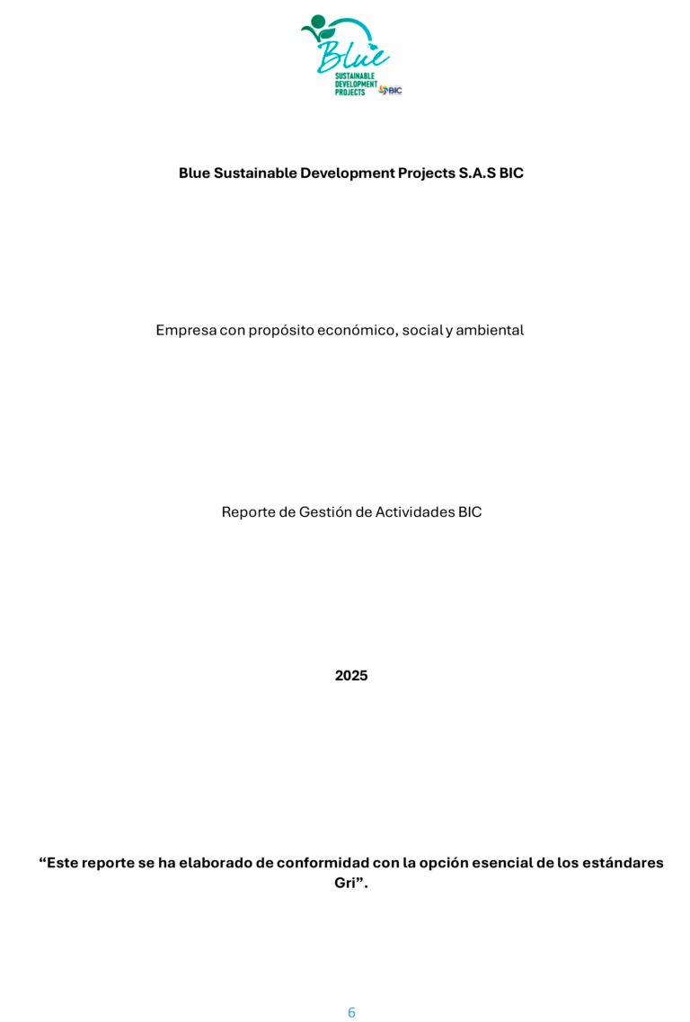 INFORME DE GESTION Y REPORTE BIC BLUE 2025 (1)-6